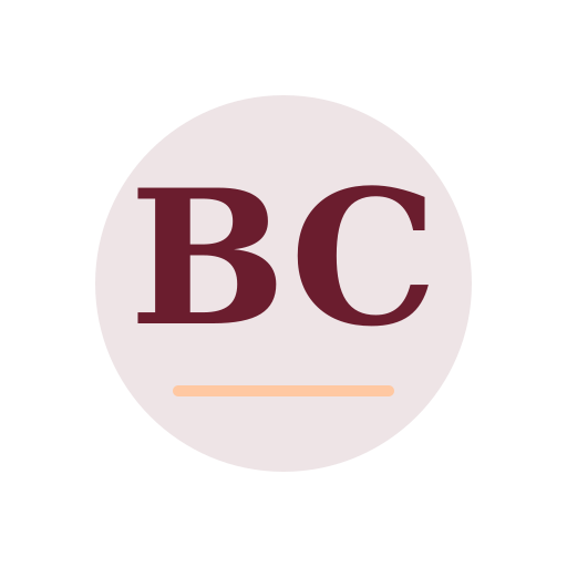 Brnor Chimney Repair logo